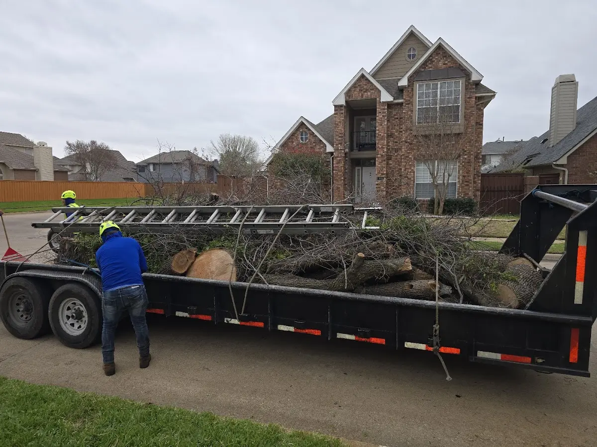 Expert Tree Fertilization with proper safety equipment in Armour